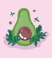 Fresh food vegetable menu. Avocado slice and herbs vector