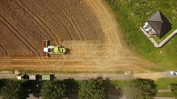 Harvesting a wheat field video