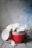 Chrysanthemums in pot and a book photo