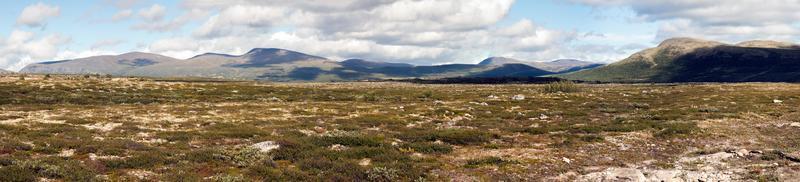 Panorama landscape Dovrefjell-Sunndalsfjella National Park (Norw photo