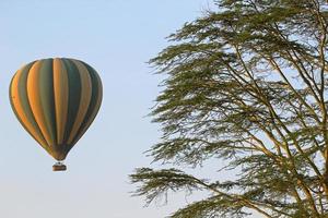 Flying green and yellow balloon near an acacia tree