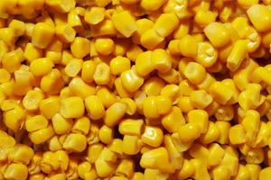 Fotografía de patrón de maíz hervido para fondo de alimentos foto