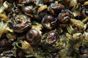 French snail recipe photo