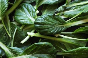 Fotografía de hojas de ensalada baby pak-choi para fondo de alimentos