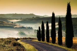 Tuscany bales photo