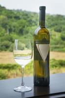 Wine bottle and wineglass on a terrace in vineyard.