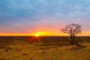puesta de sol en el sur de luangwa foto