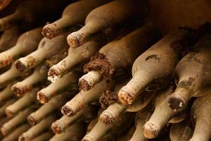 Vintage wine bottles in cellar photo