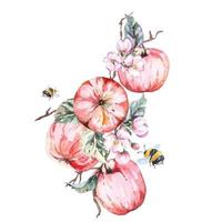 Apple branches painted with watercolor vector