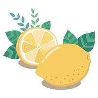 Fresh lemon halves with green leaves vector