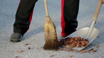 Man sweeps leaves onto the shovel and emptys it into the wheelbarrow video