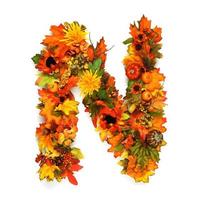 Autumn alphabet photo
