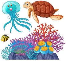 animales marinos y conjunto de arrecifes de coral. vector