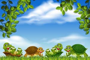 Turtles in park scene frame vector