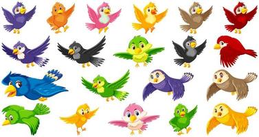 conjunto de personajes de dibujos animados de aves vector