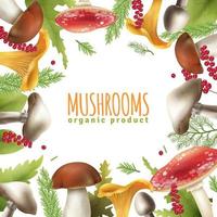 Mushrooms frame background vector