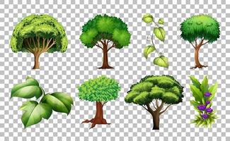 Set of Tree on Transparent Background vector