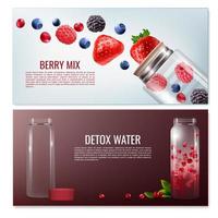 Detox water horizontal banners vector