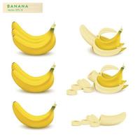 Realistic banana fruit set 