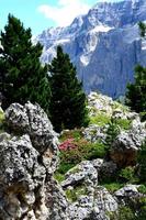 Val Gardena - Dolomites Alps in Summer photo