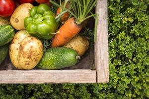 mixed organic vegetables in wooden box