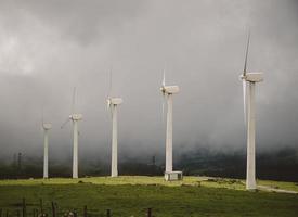Windmills in the Mist photo