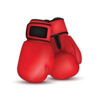 Realistic pair of boxing gloves 