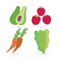 zanahorias, aguacate, lechuga y tomates vector