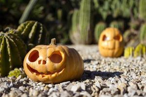 Halloween scary pumpkins on the cactuses backgroung