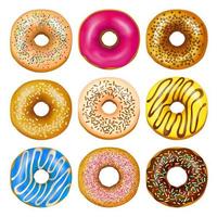 Set of realistic donuts  vector