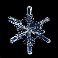 natural crystal snowflake macro photo
