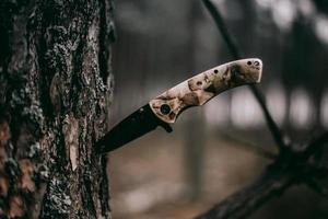 Brown handle knife photo