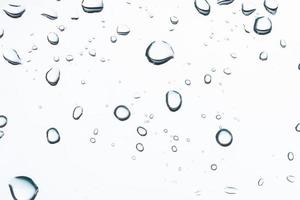 Water droplets on white background photo