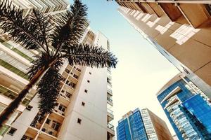 Perspectiva de ángulo bajo de edificios durante el día. foto