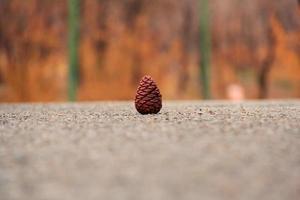 primer plano, de, un, piña foto