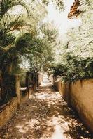  Unpaved pathway between walls photo