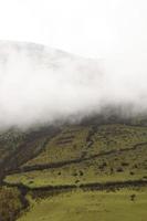 hermoso día de niebla foto