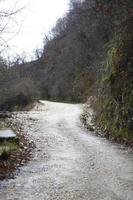 Local road to a village photo