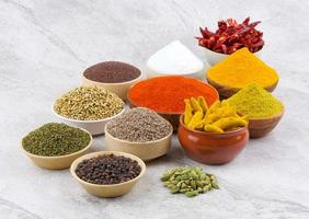 Indian spices collection  photo