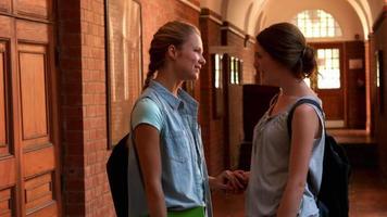 Happy students chatting together in a hall video