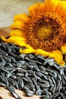 Sunflower seeds on a wooden background photo