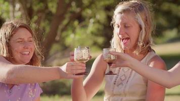 Three young women sharing drinks together in the park video