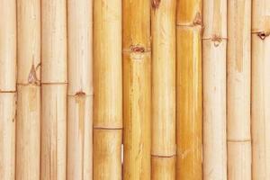 bamboo fence background photo