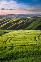 Beautiful view of the country footpath at sunset in Tuscany photo