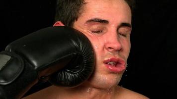 boxeador duro recibiendo un puñetazo en la cara video