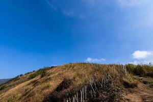 Landscape at Kew Mae Pan, Thailand photo