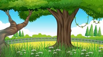 Empty background nature scenery with trees vector