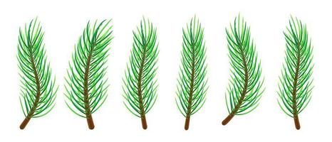 Christmas tree branches vector