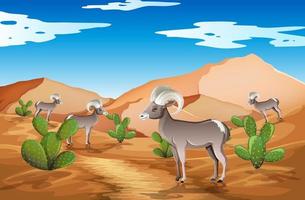 Wild desert landscape at daytime scene vector