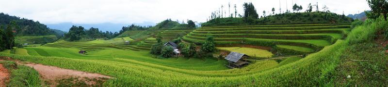 Terraced fields in Mu Cang Chai, Ha Giang photo
